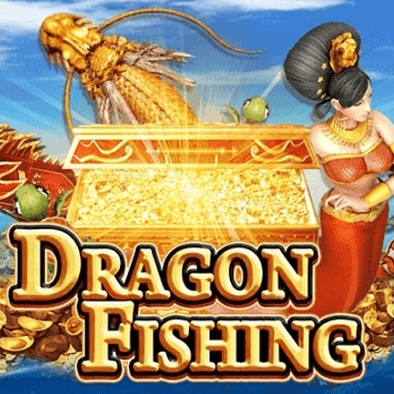 Dragon Fishing paldo plus fishing