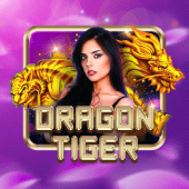 Dragon Tiger paldo plus live casino